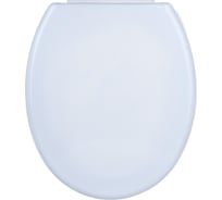 Сиденье для унитаза Хома Норкин СПУ-2 с креплением 5271467