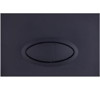 Кнопка смыва Logan OVAL двойная Black Matte 00297676