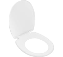 Сиденье для унитаза AV Engineering King AVE129716