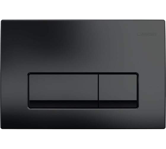 Смывная клавиша для двойного смыва Geberit 115.119.DW.1 Delta50 черный RAL 9005 00076138