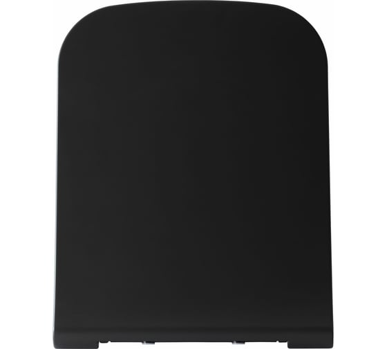 Сиденье для унитаза ALLEN BRAU INFINITY 2 Soft-Close, дюропласт, антрацит 4.21014.AN 00301925