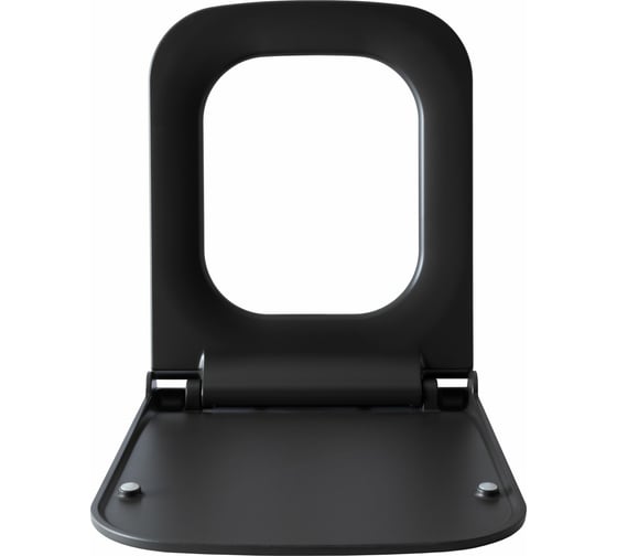 Сиденье для унитаза ALLEN BRAU INFINITY 2 Soft-Close, дюропласт, антрацит 4.21014.AN 00301925