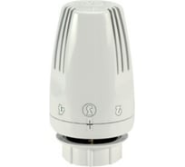 Головка термостатическая с жидкостным датчиком Giacomini R468X001