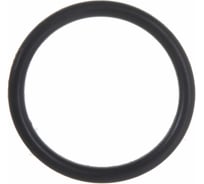 Кольцо под американку MasterProf 1" 2 шт ИС.130874