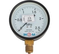 Манометр ЭКО-М Экомера МД02-100-М-2,5МПа