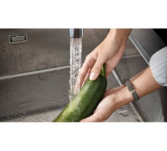 Лейка кухонного смесителя Hansgrohe 98459800 00000098236