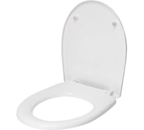 Крышка-сидение Santek Анимо soft close 1.wh10.6.897 00000044553