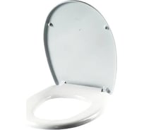 Крышка-сидение Santek Бореаль дюропласт 1.wh10.6.915 00000041015 26333669