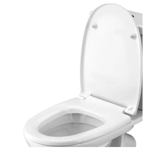 Крышка-сидение Santek Ирис лига дюропласт 1.wh10.6.906 00000043156
