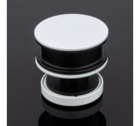 Ролик с креплением к стеклу SERVICE PLUS белый матовый, sus304 R02-401WM/SUS304