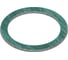 Паронитовая прокладка ROMMER 1", зеленый RG008Q281CNM0N 1