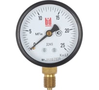 Манометр ДМ 1 Т2 063 Р (0-25) МПа, кл.1.5, М12x1.5 BD 1151100009
