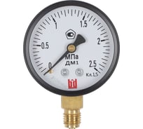 Манометр ДМ 1 Т2 063 Р (0-2.5) МПа, кл.1.5, М12x1.5 BD 1151100008