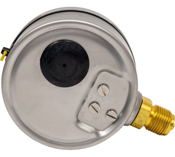 Манометр ДМ 2 100 Р (0-25) бар, кл.1.0, G1/2" BD 1152100011