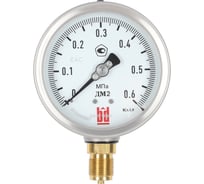 Манометр ДМ 2 100 Р (0-0.6) МПа, кл.1.0, М20x1.5 BD 1152100005