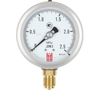 Манометр ДМ 2 100 Р (0-2.5) МПа, кл.1.0, М20x1.5 BD 1152100008