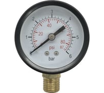 Радиальный манометр VERTON RP 50/6 (50мм темп 60 С IP44 нижнее подключение 0-6 бар 1/4 внешняя резьба ) 01.14120.14373