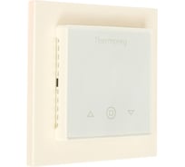 Терморегулятор Thermoreg TI-300 Thermo 7350049070858