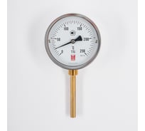 Биметаллический термометр BD ТБ 100Р/100 (0-250С), G1/2, кл. т, 1,5 1161001003