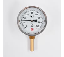 Биметаллический термометр BD ТБ 100Р/100 (0-160С), G1/2, кл. т. 1,5 1161001002