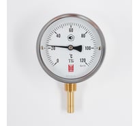 Биметаллический термометр BD ТБ 100Р/46 (0-120С), G1/2, кл. т. 1,5 1161001004