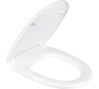 Сиденье с крышкой для унитаза ORSA santek лига ирис без микролифта Liga-Iris