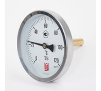 Биметаллический термометр BD ТБ 100Т/64 (0-120С), G1/2, кл. т. 1,5 1161001022