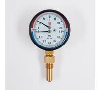 Термоманометр BD ТМТБ БД 41Р (0-120С) (0-0,6) МПа, кл. т. 2,5, G1/2 1173101014