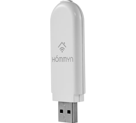 Съемный управляющий модуль HOMMYN HDN/WFN-02-01  НС-1416708