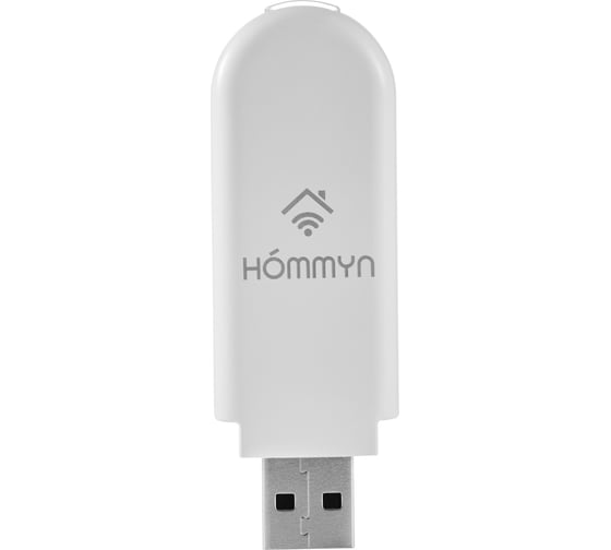 Съемный управляющий модуль HOMMYN HDN/WFN-02-01  НС-1416708