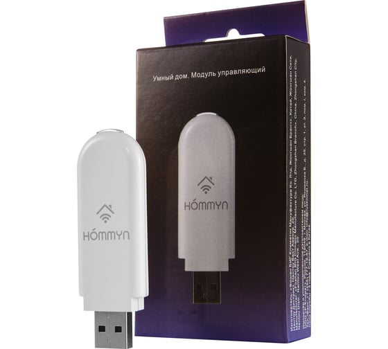Съемный управляющий модуль HOMMYN HDN/WFN-02-01  НС-1416708