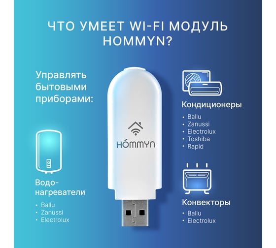 Съемный управляющий модуль HOMMYN HDN/WFN-02-01  НС-1416708