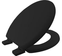 Сиденье для унитаза ХДФ чёрный Nofer 5000AR047