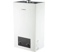 Газовый настенный котел ARIDEYA GRAND - 40 FF ARD-07-000009