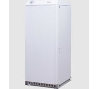 Напольный газовый котел RGA 11K TL (АОГВ) 2210360 4603027001454