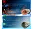 Теплоноситель Глицерин -30C ECO 10 кг, канистра, цвет зеленый Primoclima Antifrost PA -30C ECO 10 3