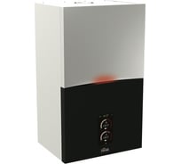 Настенный газовый котел Ferroli BLUEHELIX MAXIMA 28С 0TSB4MYA
