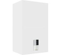 Газовый настенный котел Ferroli BLUEHELIX HITECH RRT 34 H (RU) 0T4D7AYA