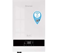 Электрический настенный котел Термекс THERMEX Boss 12 Wi-Fi, White ЭдЭБ05052