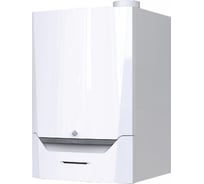 Конденсационный настенный котёл De Dietrich EVODENS AMC PRO, AMC 45, DIEMATIC EVOLUTION 7699475