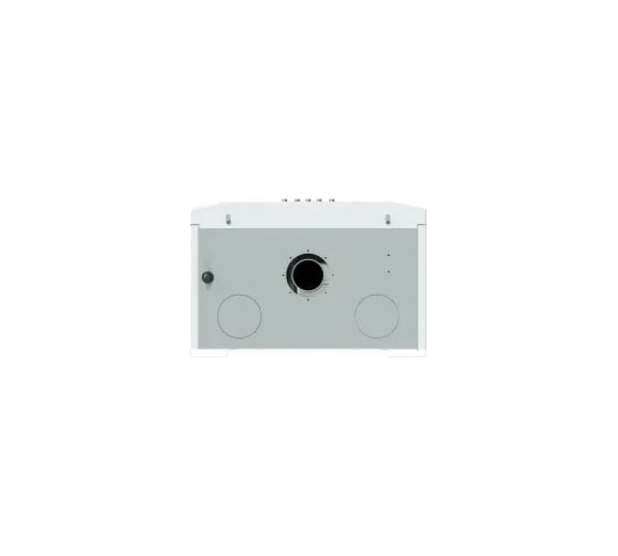 Настенный газовый котел LEMAX PRIME-V14 107738