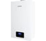 Настенный газовый котёл ARDERIA D24 Atmo 2