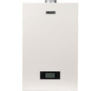 Газовый настенный котел (двухконтурный) SKAT BG GOLD 24 4132