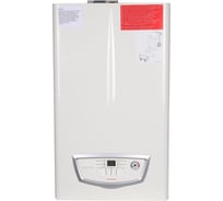 Котел газовый Immergas Eolo Mythos 24 4 R настенный, двухконтурный 3.026937 RG0091BRT67QSE