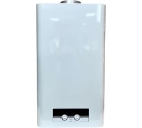 Котел настенный газовый двухконтурный Сармат B24 (TR) 10014215