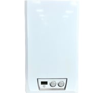 Котел настенный газовый двухконтурный Сармат ATRON H24 (TR) 10014206