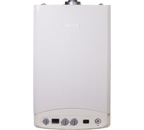 Котел газовый настенный WERTRUS TOP 24FF-H 2401001-1