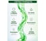 Теплоноситель на основе пропиленгликоля Absolute Green ЭКО AG -65, 10 кг 00-00000501 4