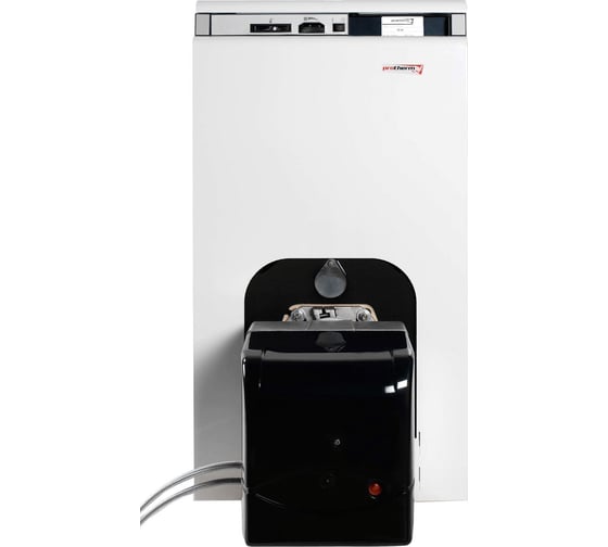 Комбинированный напольный котел Protherm Бизон 40NL 10003942 1