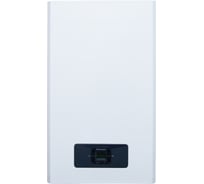 Газовый настенный котел Rimmini Premium DT12 2-х контурный, с дисплеем Rim12P